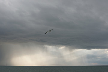 Fototapeta na wymiar Морской пейзаж в пасмурную погоду 
