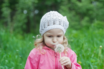 Concentrated little girl blowing on white dandelion seeds pod