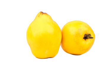 Two fruit quince