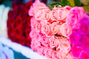 Armenia. Roses in market!