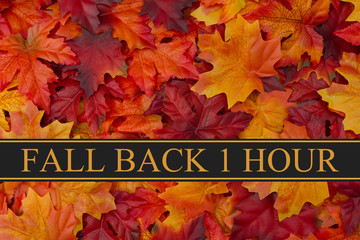 Fall Back Time Change Message