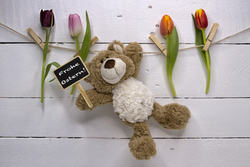 Teddy - Frohe Ostern