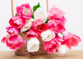 Fototapeta premium Flowers, pink and white tulips in the basket, white isolated