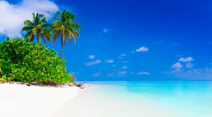 Fototapeta na wymiar Maldives, tropical sea background 2!