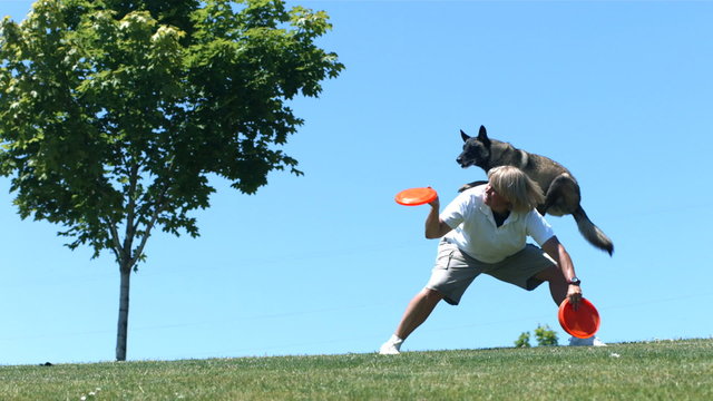 Dog jumps of woman's back and catches frisbee, slow motion