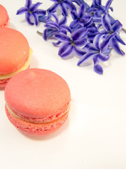 macarons and purple hyacinth flowers
