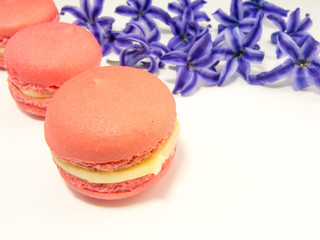 macarons and purple hyacinth flowers