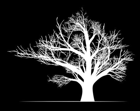 Big white tree on black background vector illustration