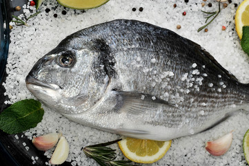 Dorado fish is in glass dish with salt, rosemary, garlic, lime a