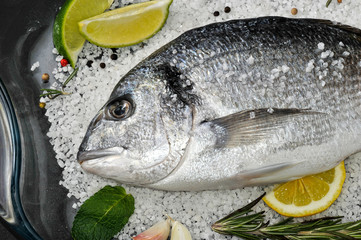 Dorado fish is in glass dish with salt, rosemary, garlic, lime a