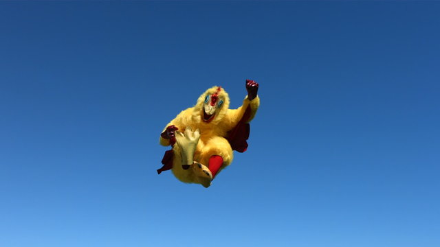 Chicken going crazy in sky, slow motion