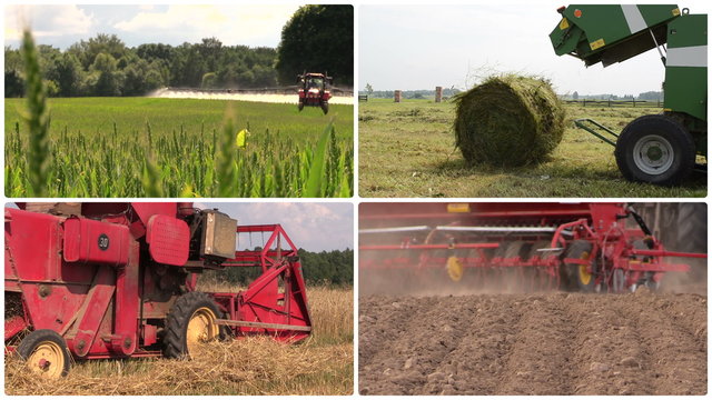 Agricultural equipment spray field, make grass bales, harvest wheats and fertilize soil. Montage of video clips collage. Split screen. White round corner frame.
