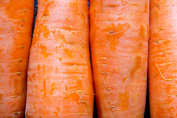 Carrots texture abstraction closeup