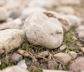 stones in the snow on the nature