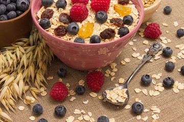 Healthy porridge with fruits on canvas