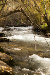 rough water in the mountain river water as a background