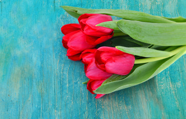 Fototapeta na wymiar Pink tulips on the blue