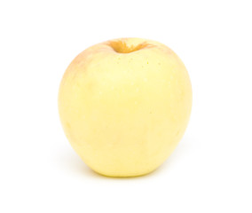 yellow apple on a white background