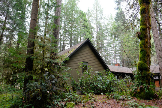 Wilderness Vacation Cabin in Forest