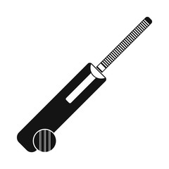 Cricket bat and ball icon, simple style