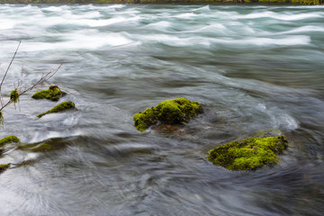 McKenzie River in Oregon