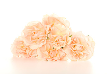 Bouquet of beautiful roses isolated on a white