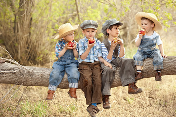 Boys eat apples sitting on a tree branch