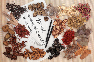 Chinese Herbal Medicine