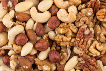 lot of different types of nuts