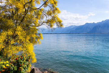 Naklejka premium Mountains and lake Geneva