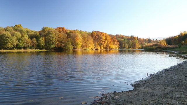 beautiful autumn landscape on the river
