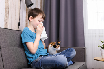 Junge reagiert allergisch auf Katzen 