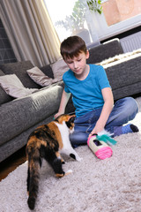 Junge spielt mit der Katze