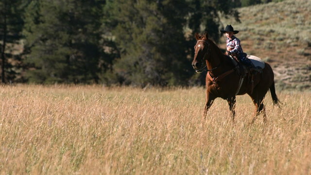 Young cowboy riding horse, slow motion