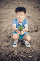 Boy carry little seedling