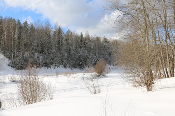 Снег и деревья в лесу ранней весной в солнечный день