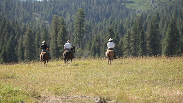 Three cowboys ride off into the wilderness