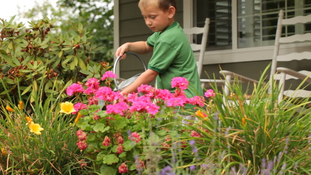 Boy watering plants