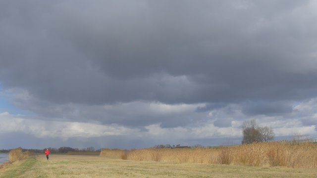 Man Running Toward Camera by Dry Field Thunderclouds Are Upon the Field Dry Grass Wheet Stalks Fall Autumn Man in Red Sporty Jacket Outdoors