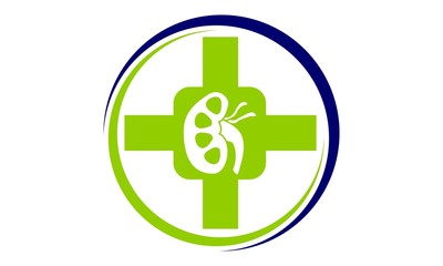 Kidney Cancer Health Support