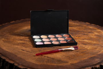 Make-up base. Palette concealer and correctors.