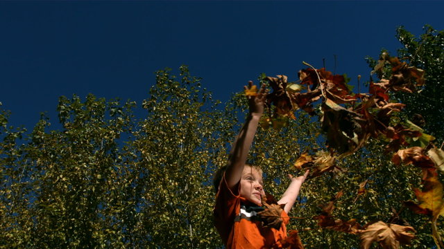 Boy throwing leaves in the air