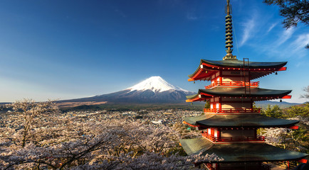 Beautiful panorama view of Mountain Fuji with cherry blossom in spring, Chureito Pagoda ...