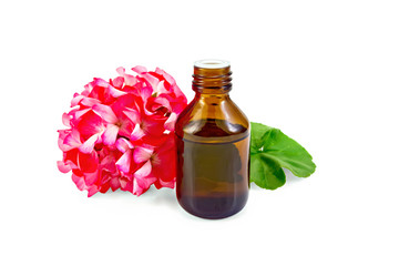 Oil with pink geraniums in dark bottle