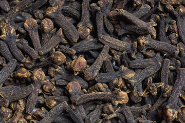 Cloves spices close up