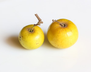 Ziziphus jujube Chinese date