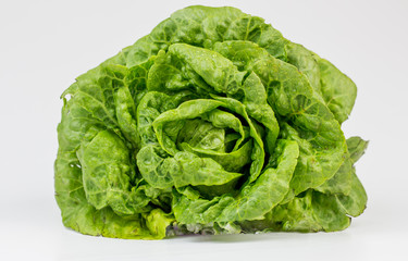 Fresh lettuce leaves