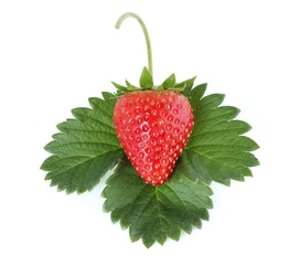 Strawberry  isolated on  white background