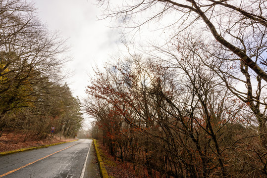 8 Best 雨上がりの道路 Images Stock Photos Vectors Adobe Stock