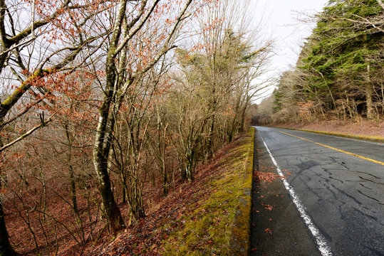 8 Best 雨上がりの道路 Images Stock Photos Vectors Adobe Stock